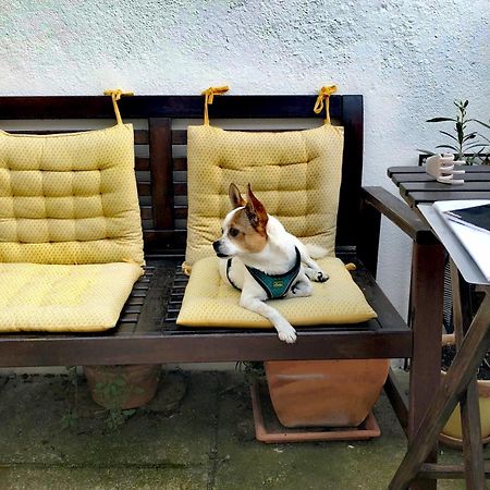 St. Johns Alley Of Poetry And Imaginary Cats بورتو المظهر الخارجي الصورة
